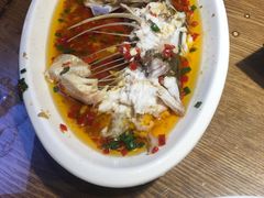 -印象鲵宴·张家界地标美食名片(溪布街店)