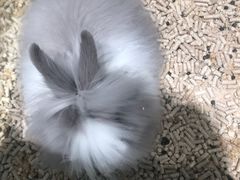 -悠尼宠物·独立低压伊珊娜洗护·美容·寄养(兰谷路店)