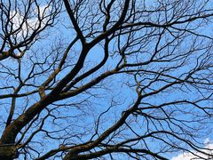 -崇圣寺三塔文化旅游区