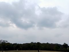 -吴淞炮台湾湿地森林公园烧烤区