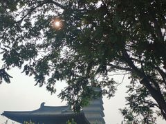 -正定古城-开元寺