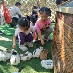 -萌宠亲子动物乐园(槐房万达店)