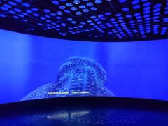 -同济大学四平路校区深海探索馆