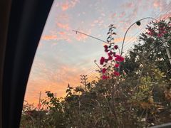 -清真·穆萨砂锅(大皮院店)