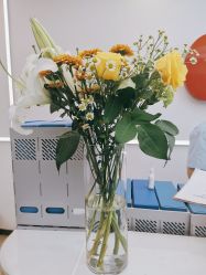 -丽复产后康复萧山旗舰中心