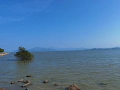 -深圳湾公园(南山区)