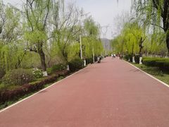-西安浐灞国家湿地公园