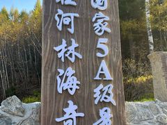 -汤旺河林海奇石景区