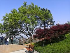 -铁山坪森林公园