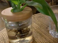 -Africafe(非洲咖啡)