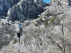-北京凤凰岭