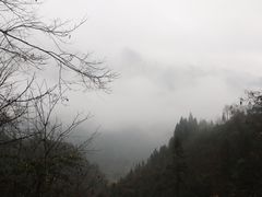 景点-鹿院坪生态旅游景区