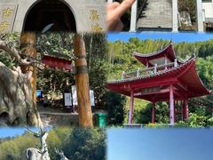 -长沙黑麋峰国家森林公园