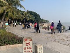 -荔枝公园-小平画像广场