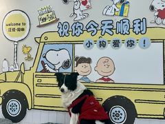 -汪说·狗咖·拼豆·宠物周边DIY(旺城大厦店)