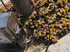 -证大大拇指广场(芳甸路店)