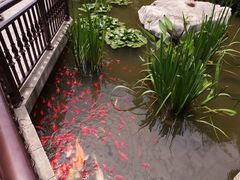 -聚缘堂·海鲜私房菜(松岭路店)