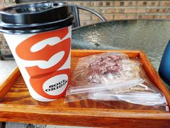 -柴犬高等学院·狗咖·柴犬售卖·宠物训练