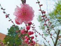 -石老人观光园