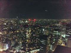 -东京都厅舍