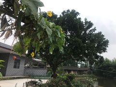 -临界音乐酒馆·小龙虾·江湖菜(华熙LIVE·鱼洞店)