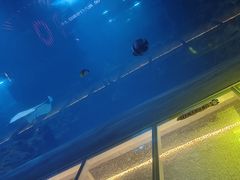 -石家庄海洋公园