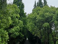 -同里国家湿地公园