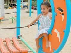 -合肥滨湖国家森林公园