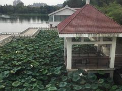 -箸福·夜上海(月牙湖公园店)