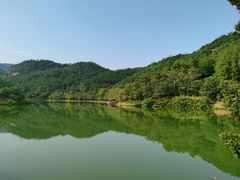 -广州白江湖森林公园