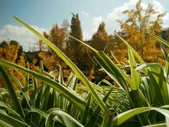 -黔蘑菇四季餐厅(观山湖店)