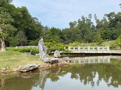 -深圳仙湖植物园