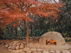 -上海野生动物园