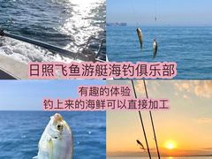 -日照海滨国家森林公园