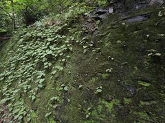 -北京上方山国家森林公园