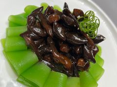 葱油鸡枞菌-燕春楼(海河华鼎店)