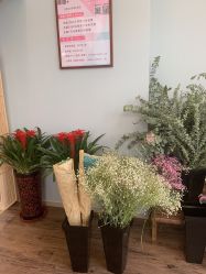 -摩睫+皮肤管理·科学美容中心