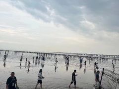 -南汇新城海滩