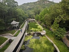 -白水寺森林公园