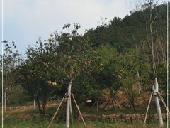-南北湖风景区