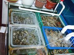 -公寓家常菜馆(海军博物馆店)