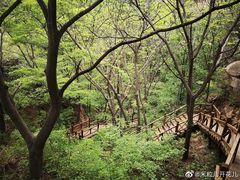 -大岭沟猕猴桃谷风景区