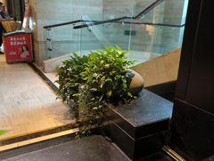 -洛阳宴·洛阳菜(南昌路店)