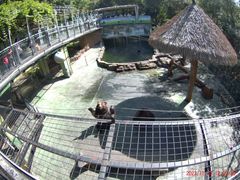 -深圳野生动物园