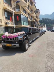 -宁波甬诚婚车(新典路店)