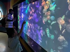 -烟台海昌鲸鲨海洋公园