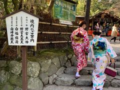 -野宫神社