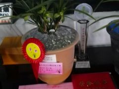 -绮园景区