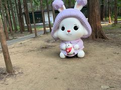 -日照海滨国家森林公园