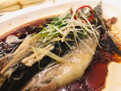 -君临七星生态酒店